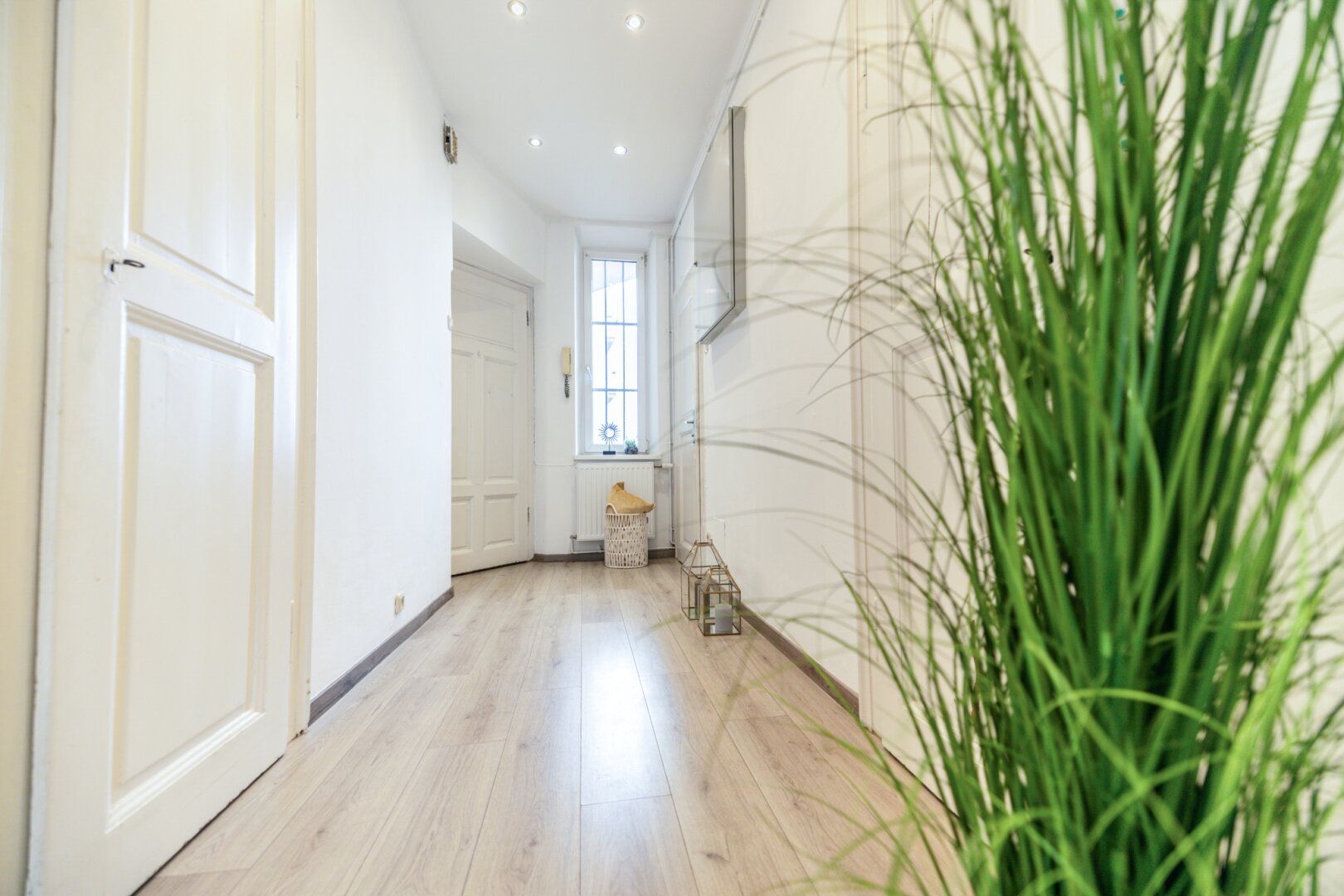 1 MONAT MIETFREI I MODERN SANIERT I DIREKT BEI FH JOANNEUM I BIM VOR DER HAUSTÜRE I ALTBAU-FLAIR I 3. OG MIT LIFT I HAUSTIERE WILLKOMMEN I PROJEKT WOHNEN I