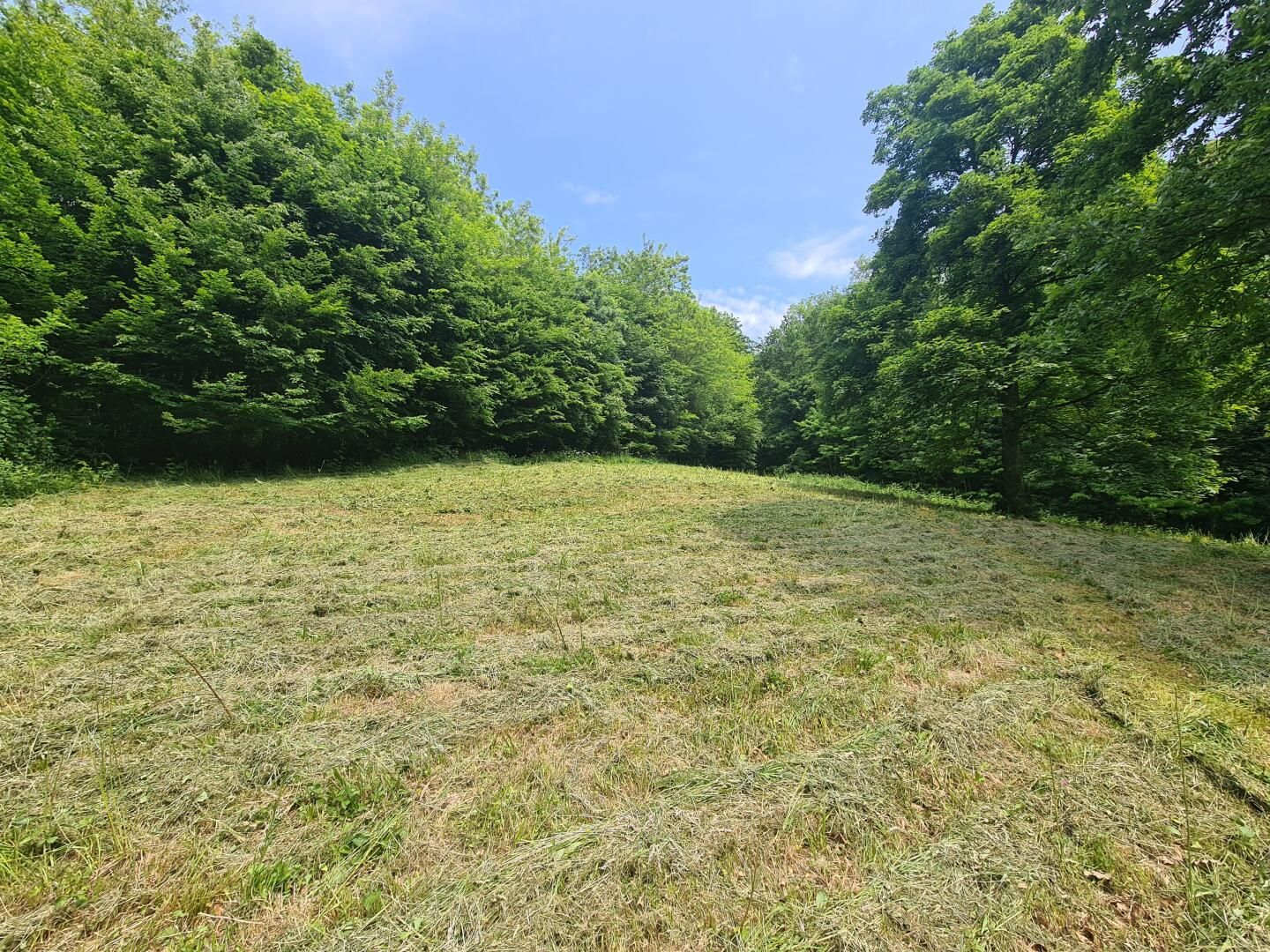 1140 Wien - Großzügiges Baugrundstück in herrlicher Grünlage | 1140 Vienna - Spacious building plot in a wonderful green location - Ansicht 3