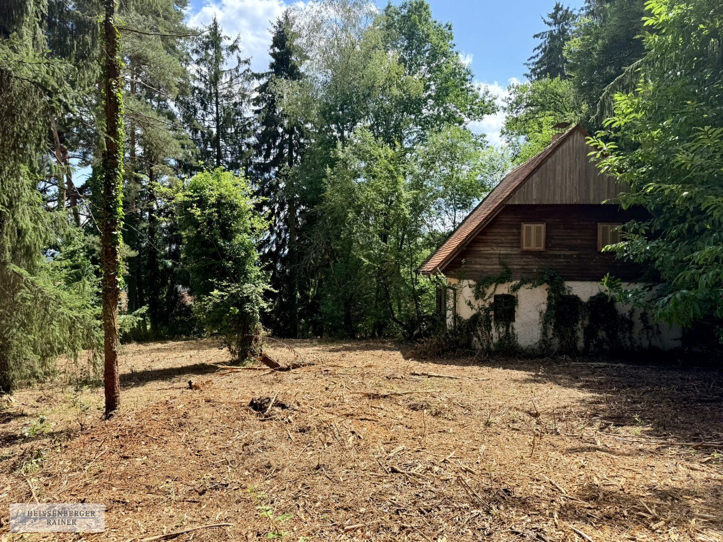 Liebhabergrundstück bei Stainz - Großes Grundstück mit Sanierungsobjekt und Erweiterungspotenzial - Ansicht 3