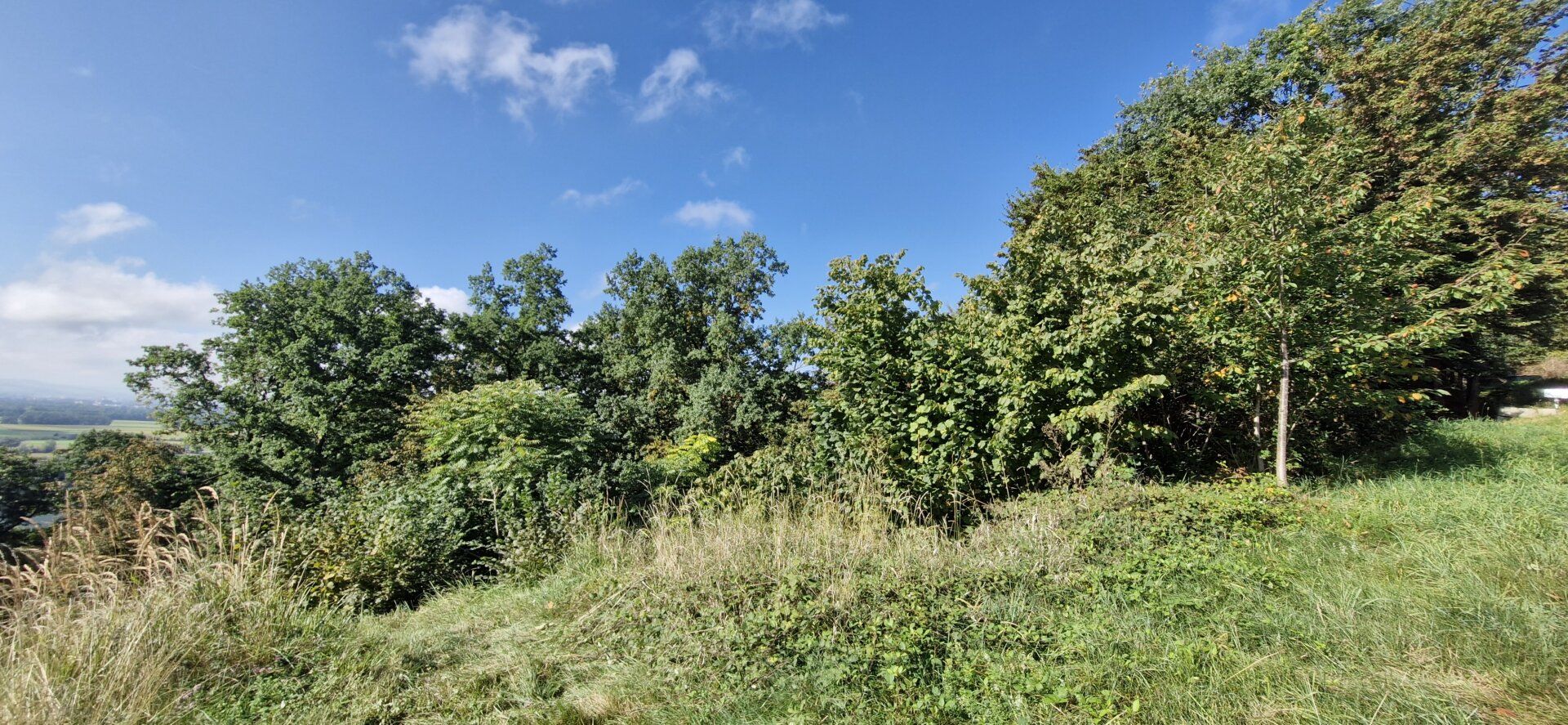 Wohnen mit Weitblick - Sechterberg 85, Feldkirchen an der Donau - Ansicht 3