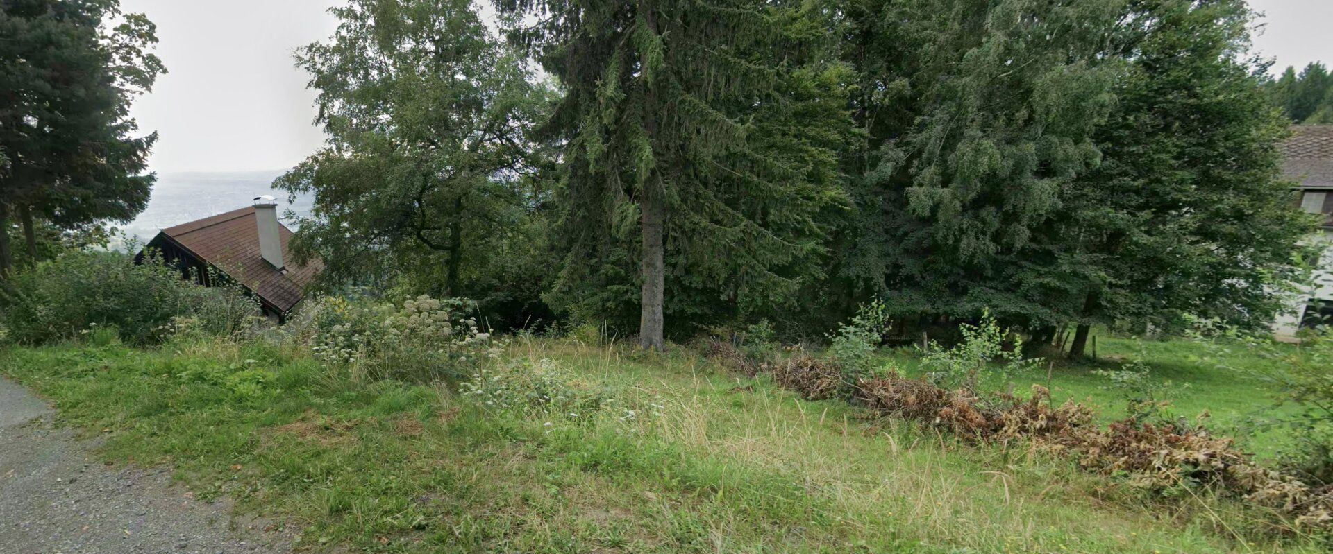 Einzigartige Höhenlage über dem Schilcherland - Freilandjuwel mit Fernblick und Entwicklungspotenzial - Ansicht 4