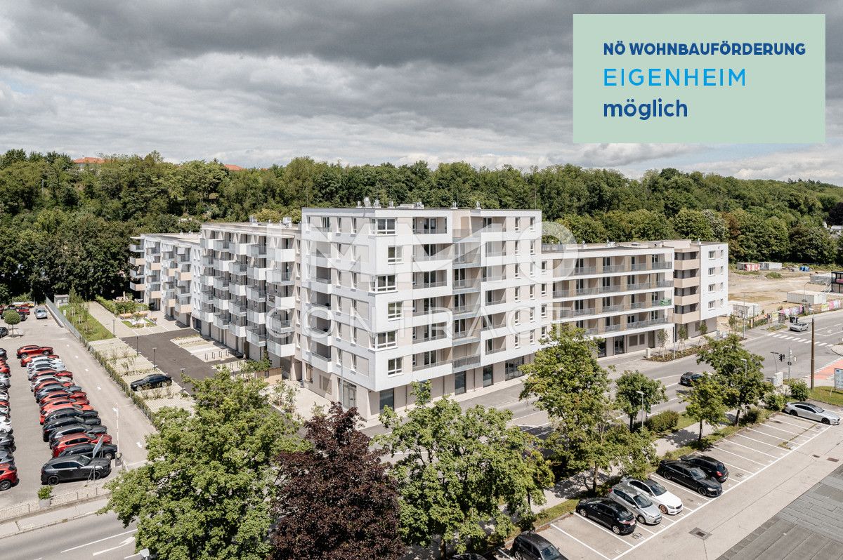 Perfekt für Jungfamilien!