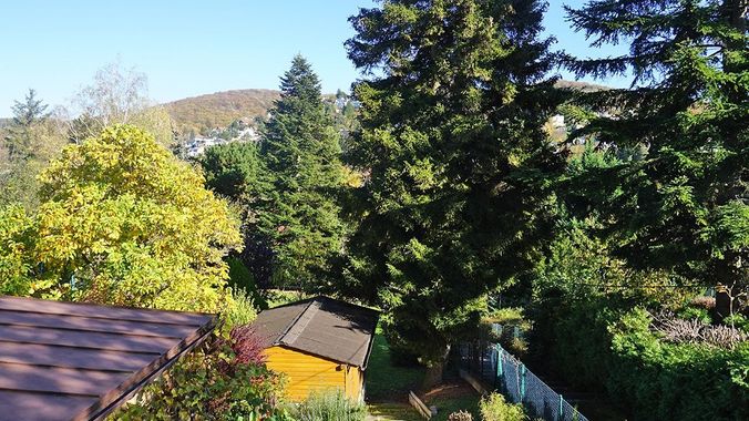Wohnzimmer_Ausblick