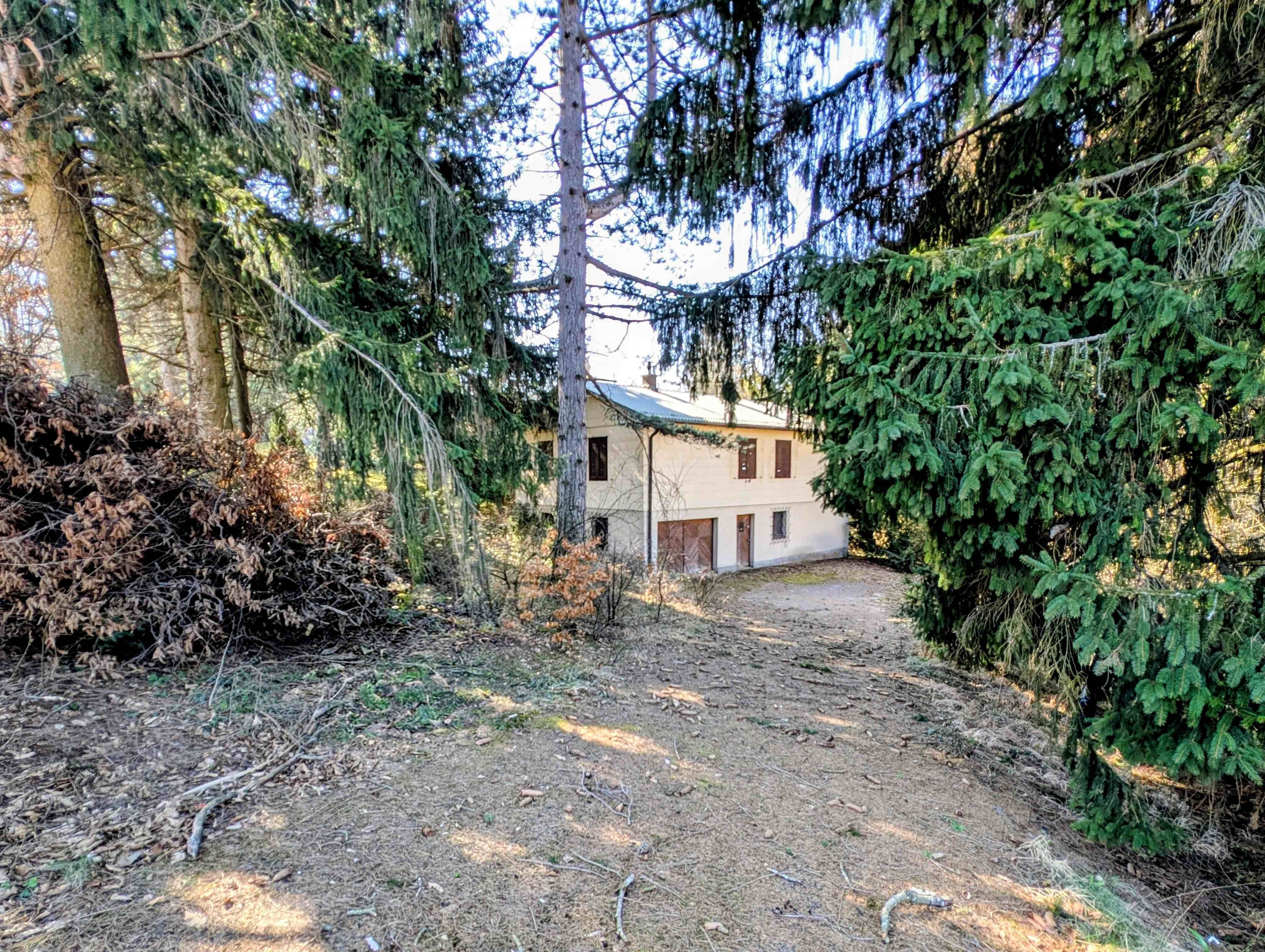 *PREISREDUKTION* Baugrund in Waldrandlage nur ca.15 km westlich von Wien - Mehr