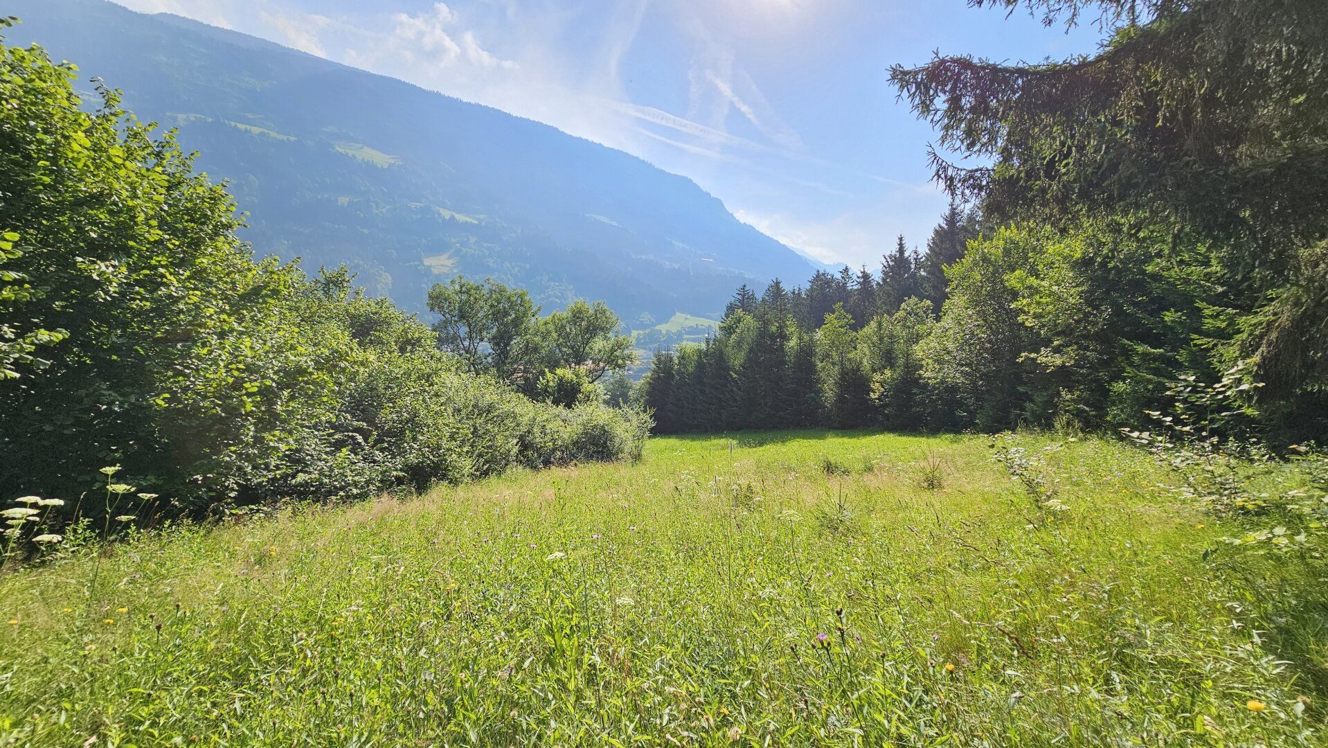 2 Grundstücke in Penk - Wohnen und Landwirtschaft vereinen. Idyllische Lage in Penk. - Ansicht 5