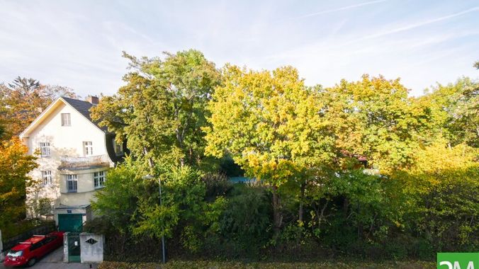 Ausblick (straßenseitig)