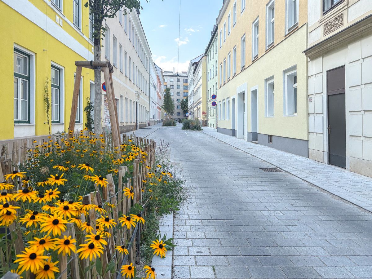 Altbauwohnung mit italienischem Flair in klimafreundlicher Wohnstraße