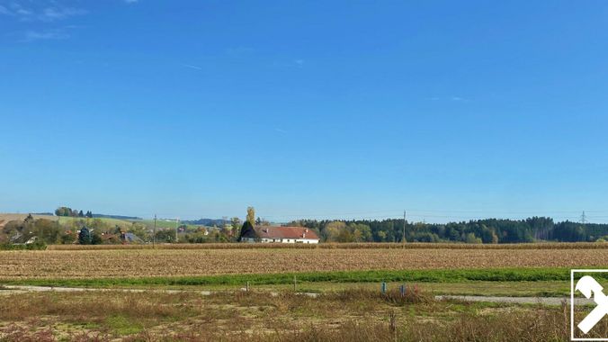 Ausblick ins Grüne