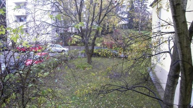 19 Blick aus dem Wohnzimmer