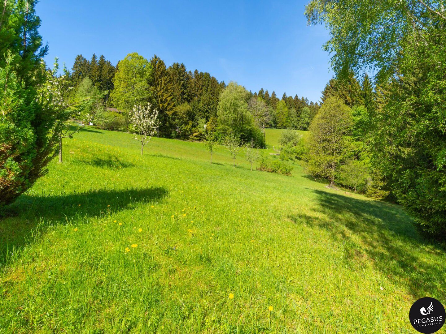 Ruhe, Natur und ganz viel Platz für Familienträume - Semriach - Ansicht 3