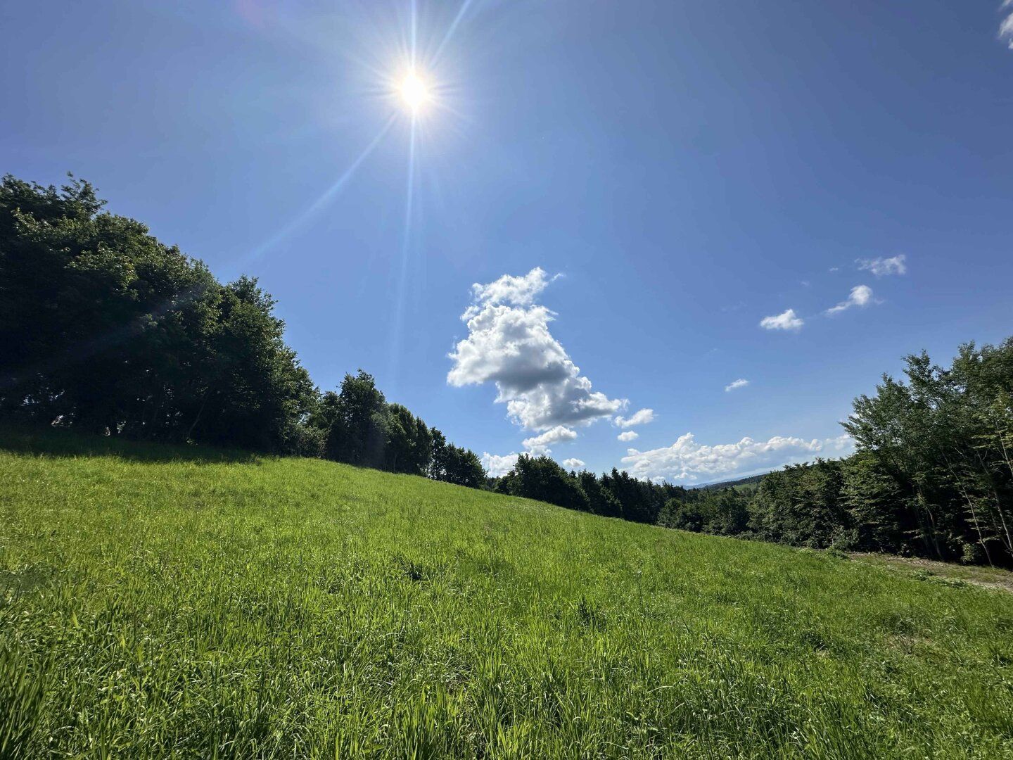 Ideal für große und kleine Bauträger! Tolles Baugrundstück mit beeindruckendem Ausblick nahe des Grazer Stadtrands am Kaiserbergs in Lannach