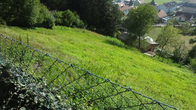 30 Garten