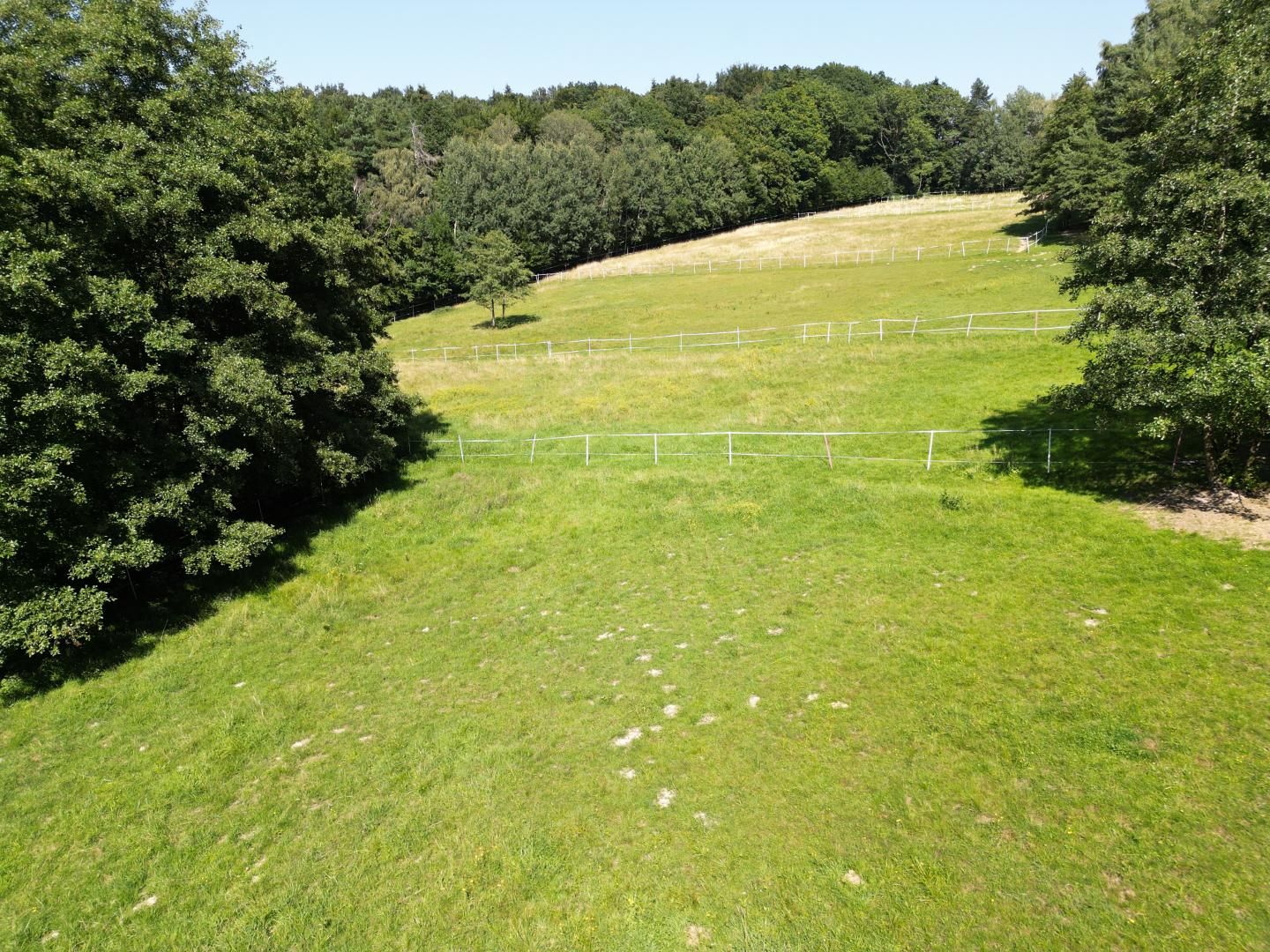 PFERDEHOF IN TRAUMLAGE - Für Landwirte!