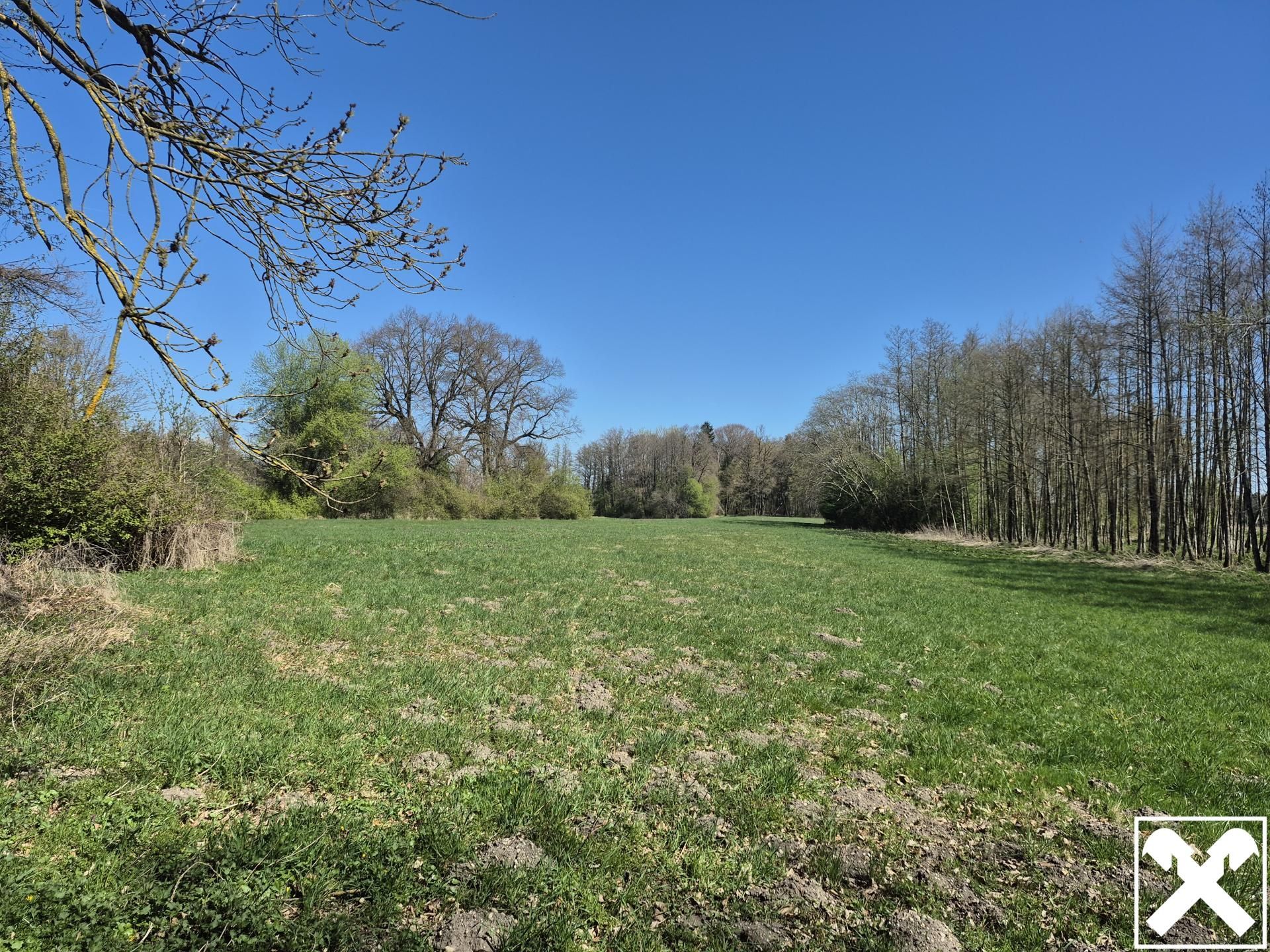 landwirtschaftlicher Grund mit Wald