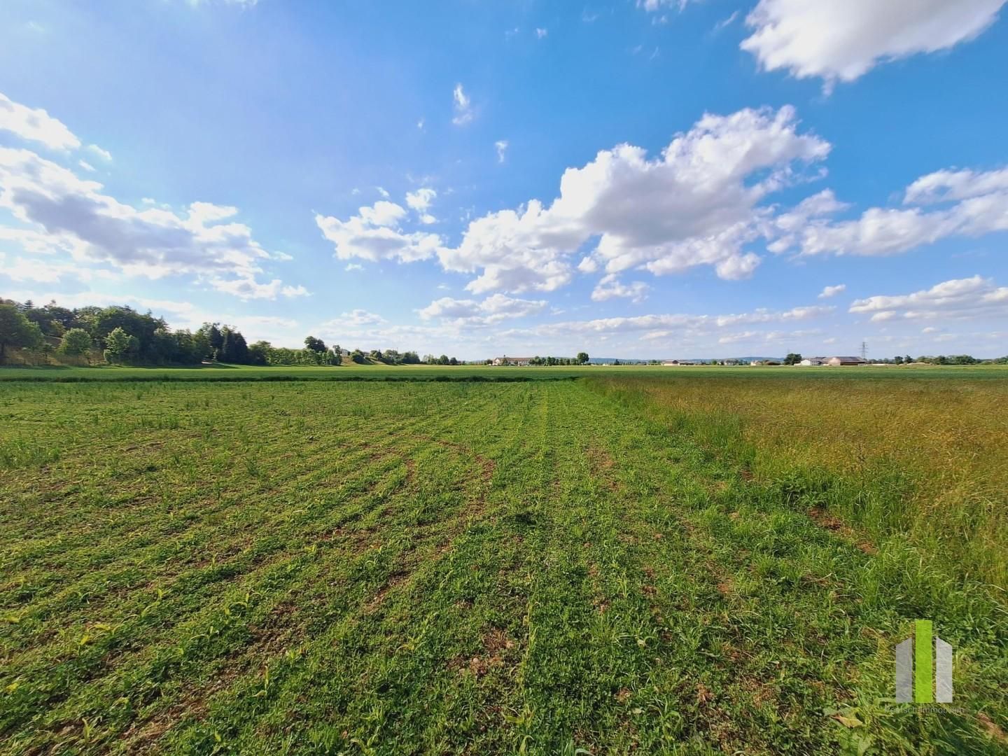 Baugrundstück ohne Bauzwang in Burgkirchen - Ansicht 5
