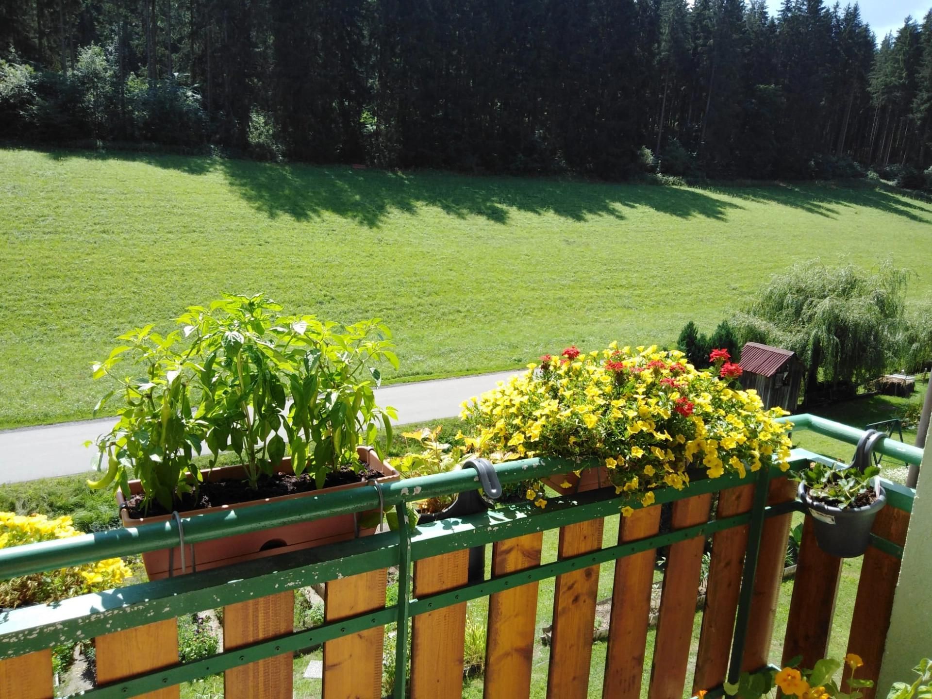 Wohnung – Oberweg - Mehr