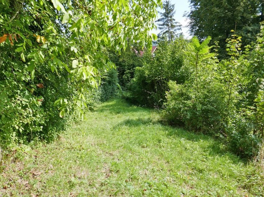 Baugrundstück in idyllischer Lage auf leichtem Südhang in Tulln-Nähe - Mehr