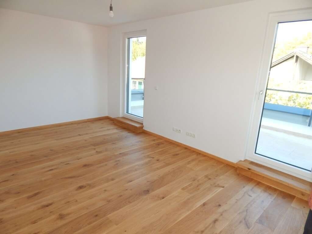 Haus – Wien - Mehr
