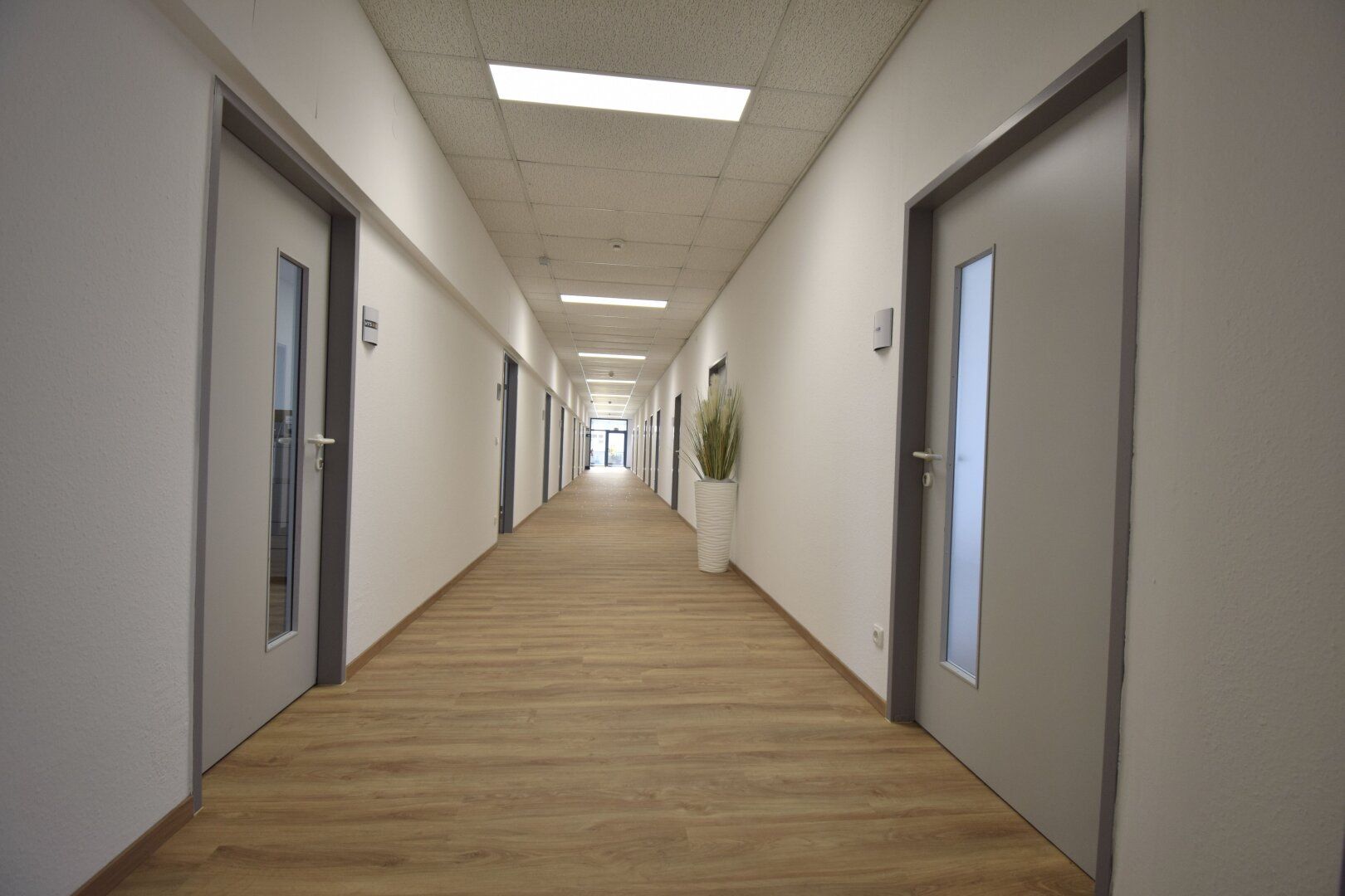 Moderne Büro- oder Praxisfläche in Leonding ab sofort zu mieten - Ansicht 4