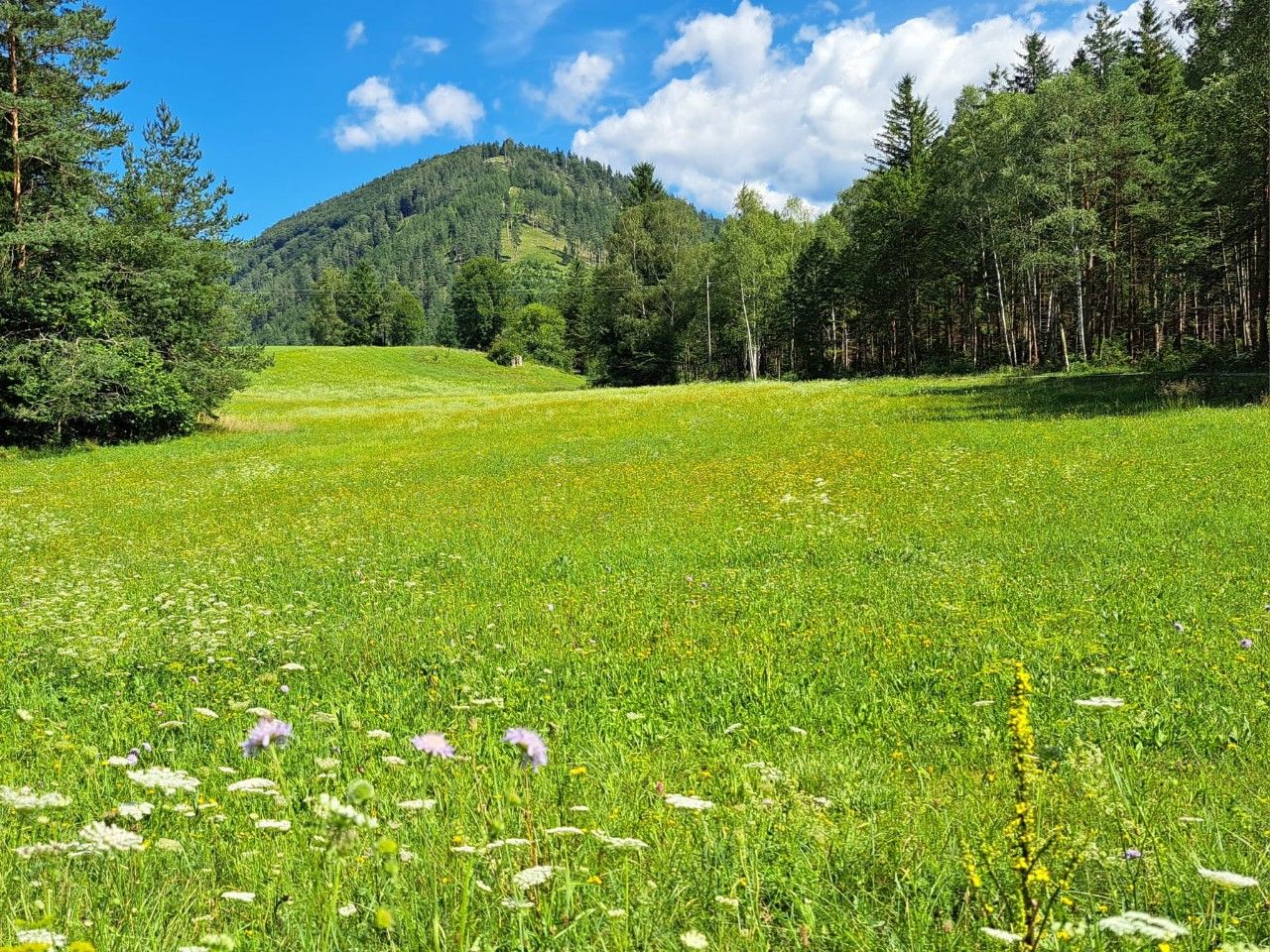 Traumhafte Liegenschaft im Schneeberg-/Raxgebiet, 15.000 m² Eigengrund (Bau-/Grünland) - Ansicht 5