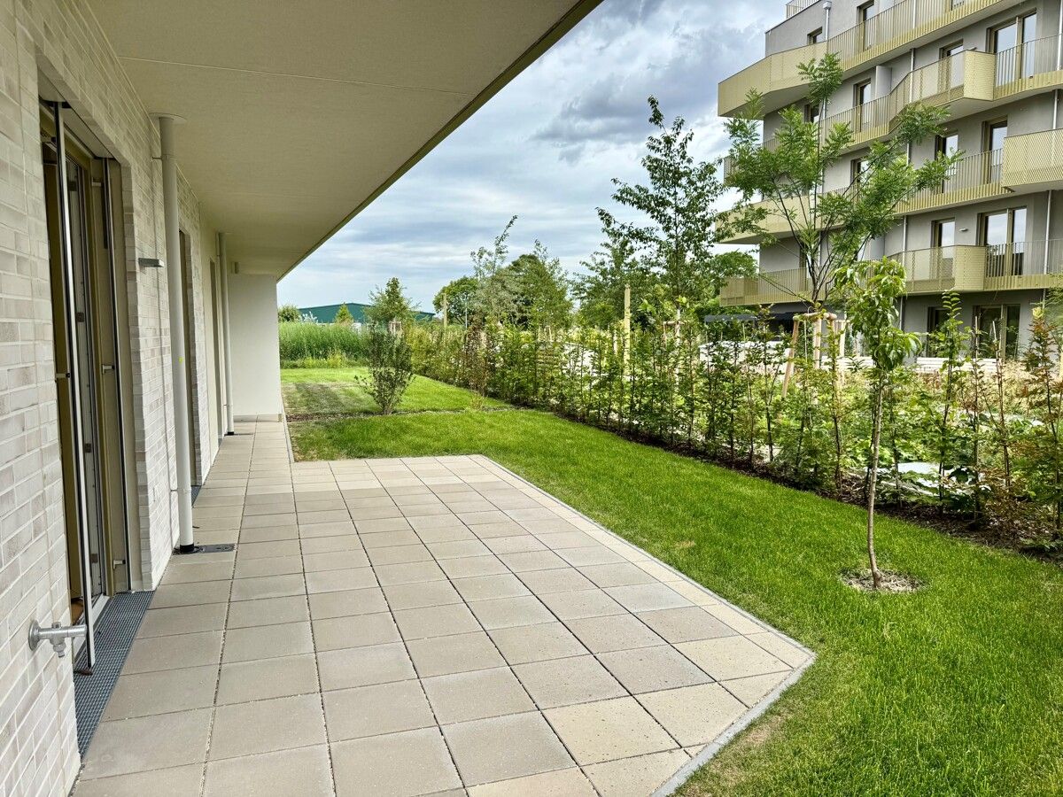 Provisionsfrei: Gerasdorfer Straße - Erstbezug 3 Zimmer Wohnung mit 60m2 Garten: Von der Sonne geküsst