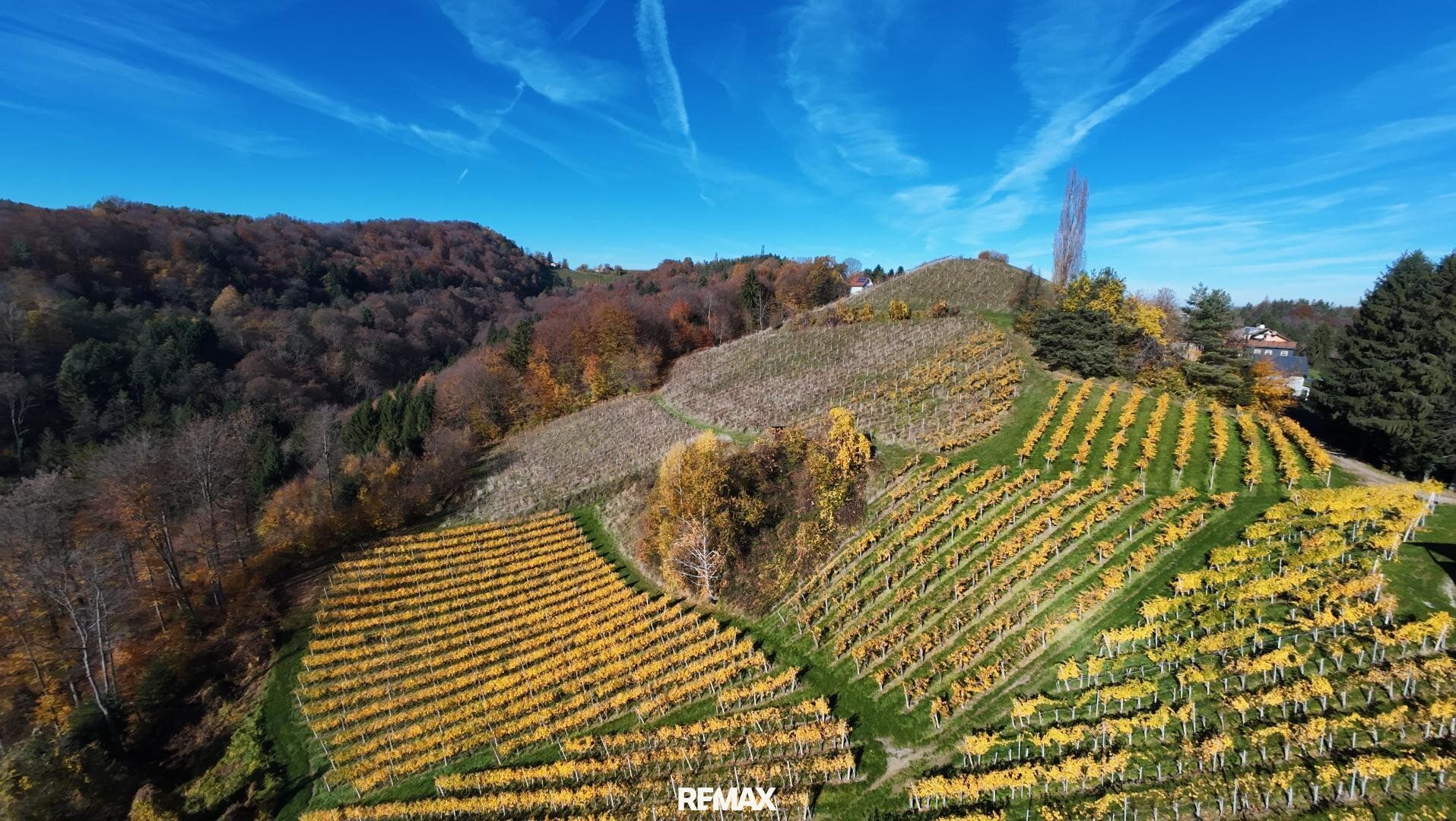 Abverkauf !! Weingarten mit Landwirtschaft in Kranach, Gemeinde Gamlitz zum Schnäppchenpreis( ZONE III ) - Ansicht 4