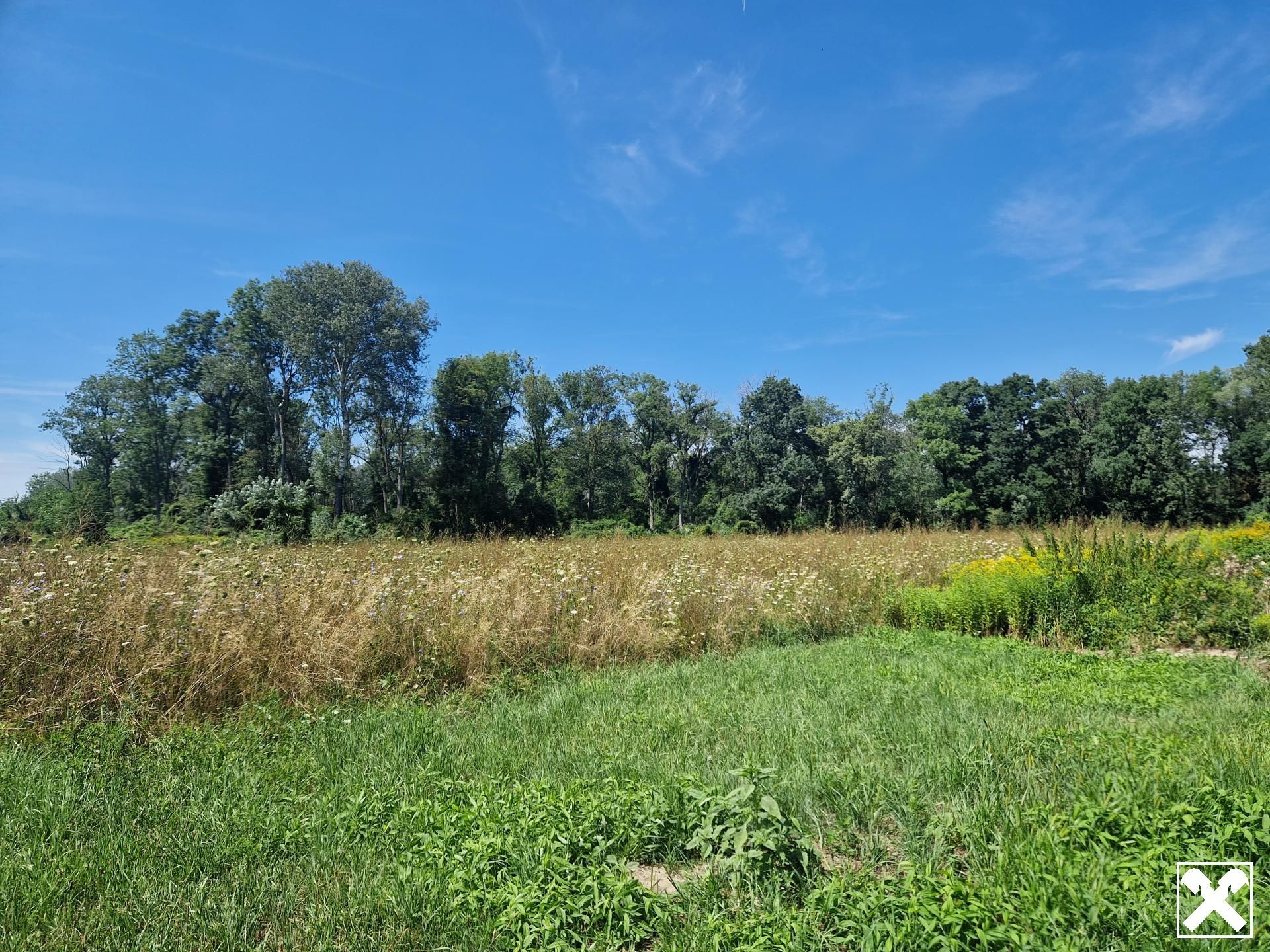 EINE SELTENE GELEGENHEIT IN DER MARKTGEMEINDE HAUSLEITEN - ZUSAMMENHÄNGENDE LANDWIRTSCHAFTLICHE FLÄCHE MIT EIGENEM BRUNNEN IN ZAINA - Ansicht 2