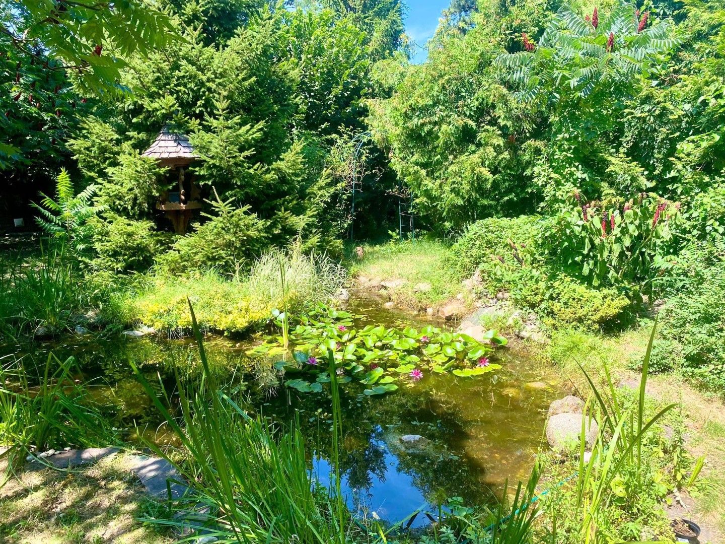 Ein kleines Stück Himmel auf Erden, Einfamilienhaus mit traumhaft schönem Garten // A little piece of heaven on Earth, detached house with beautif //