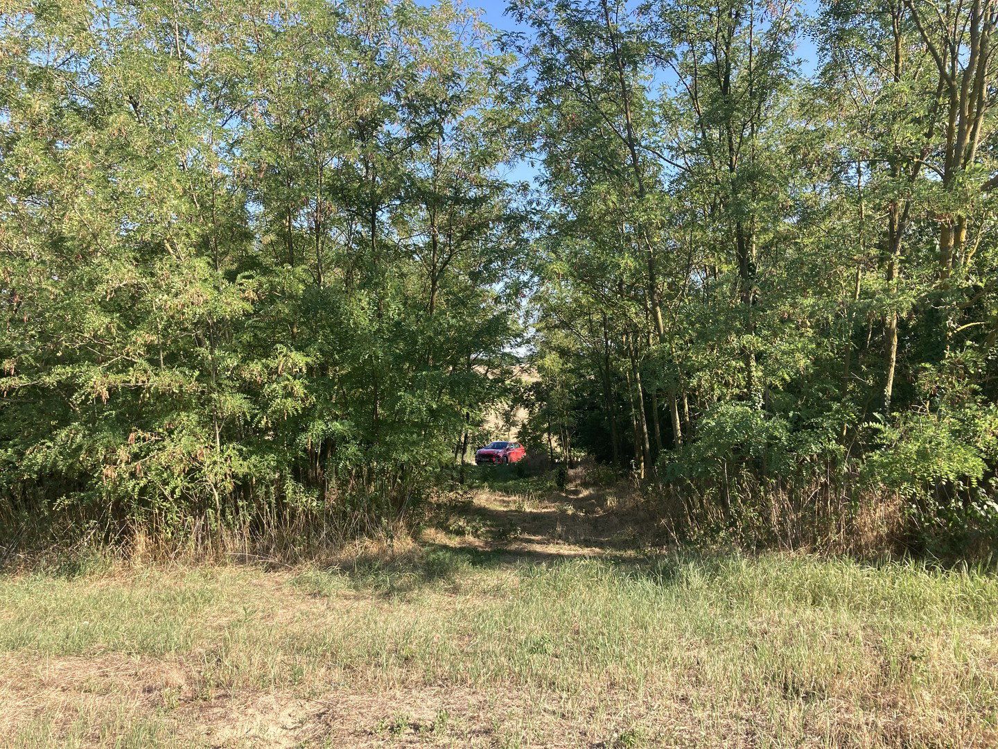 Panorama-Grundstücke in traumhafter Lage zu verkaufen - Vásárosmiske (Westungarn) - Ansicht 2