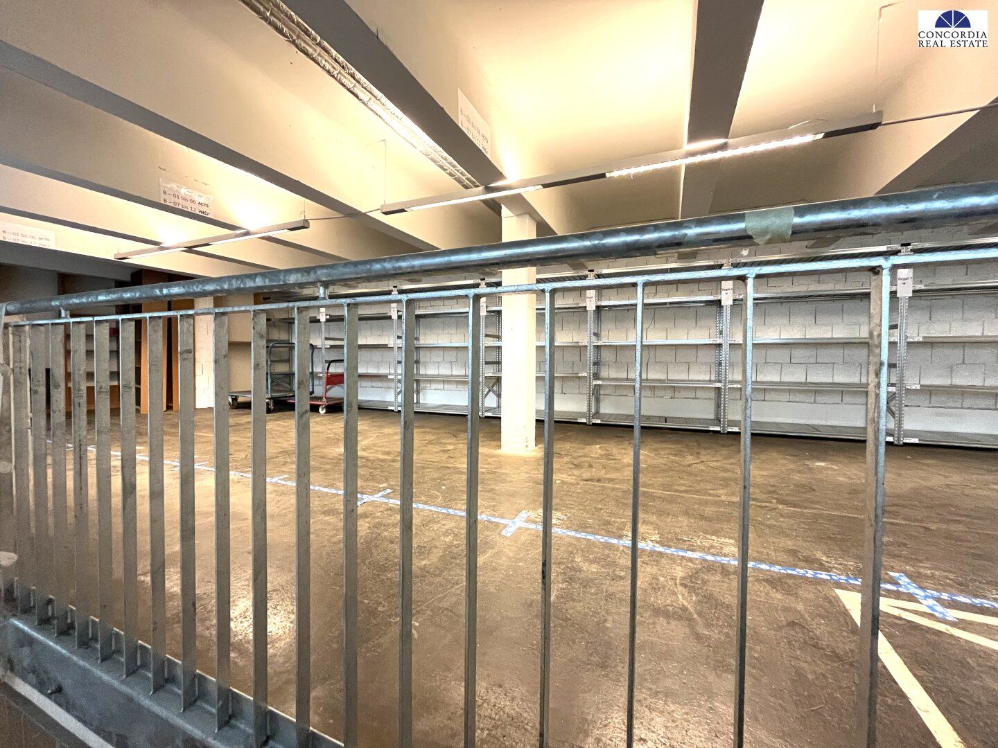 Einzigartige Lagerfläche mit Rampe in Wiener Prachtbau zu mieten - Ansicht 5