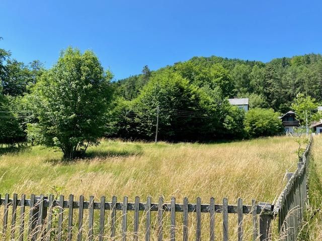 Mehr als 5000m² Grund! Wo sich Fuchs und Hase 