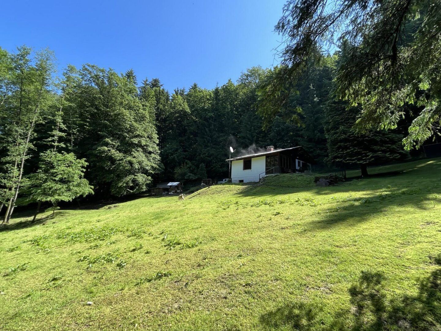 Kleine Hobbylandwirtschaft mit 36.550 m² nahe Graz - Ansicht 5