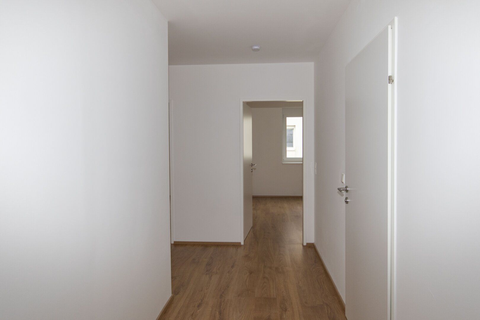 Wohnung – Rabensburg - Mehr