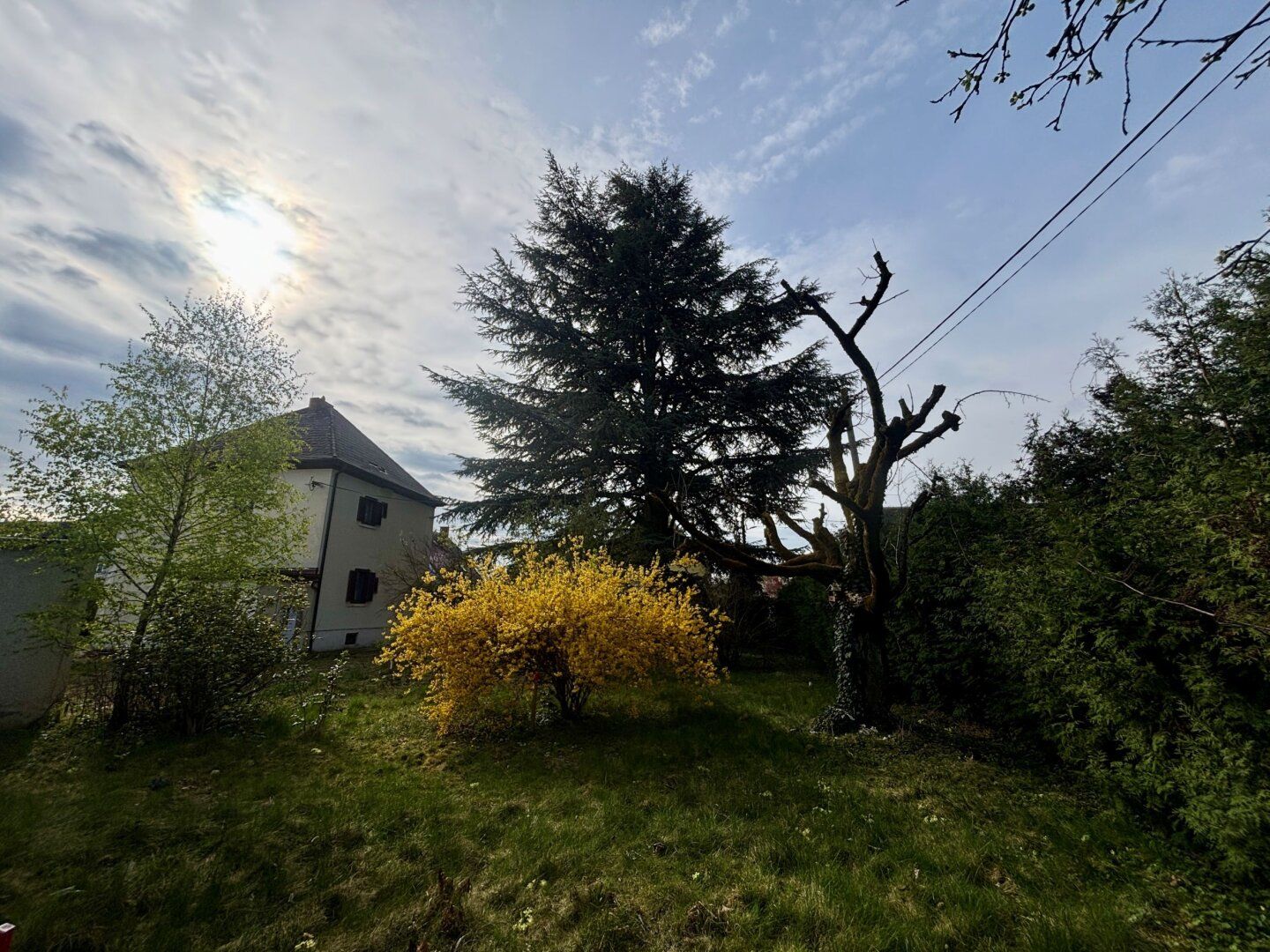 Wohnung – Graz,17.Bez.:Puntigam - Ansicht 5