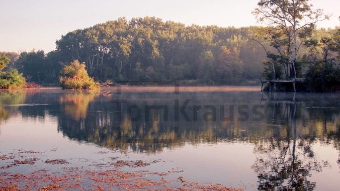 Lobau 1