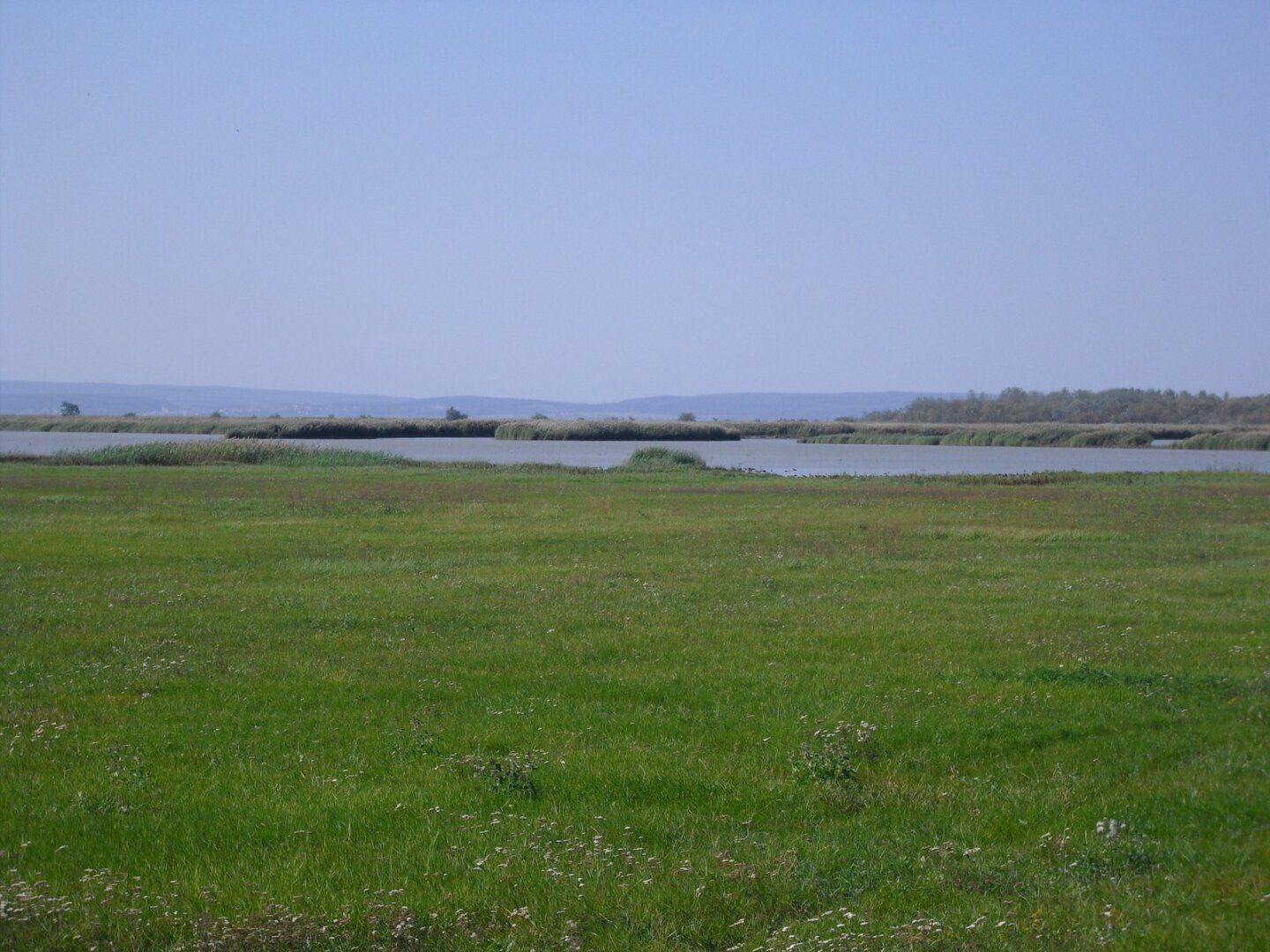 Baugründe im Naturschutzgebiet Neusiedlersee/Seewinkel Ruhelage! - Ansicht 2