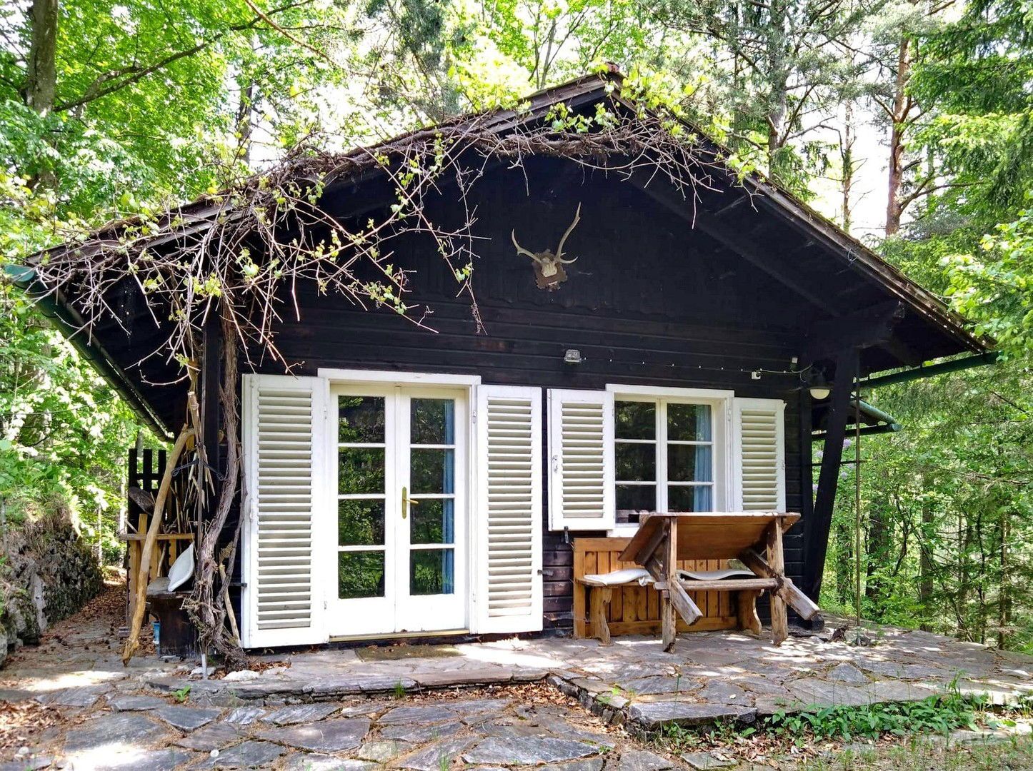 Raus aus der Stadt - Wald, frische Luft, Ruhe.