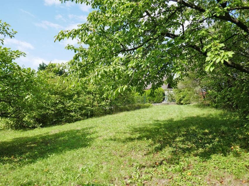 Baugrundstück in idyllischer Lage auf leichtem Südhang in Tulln-Nähe - Ansicht 5