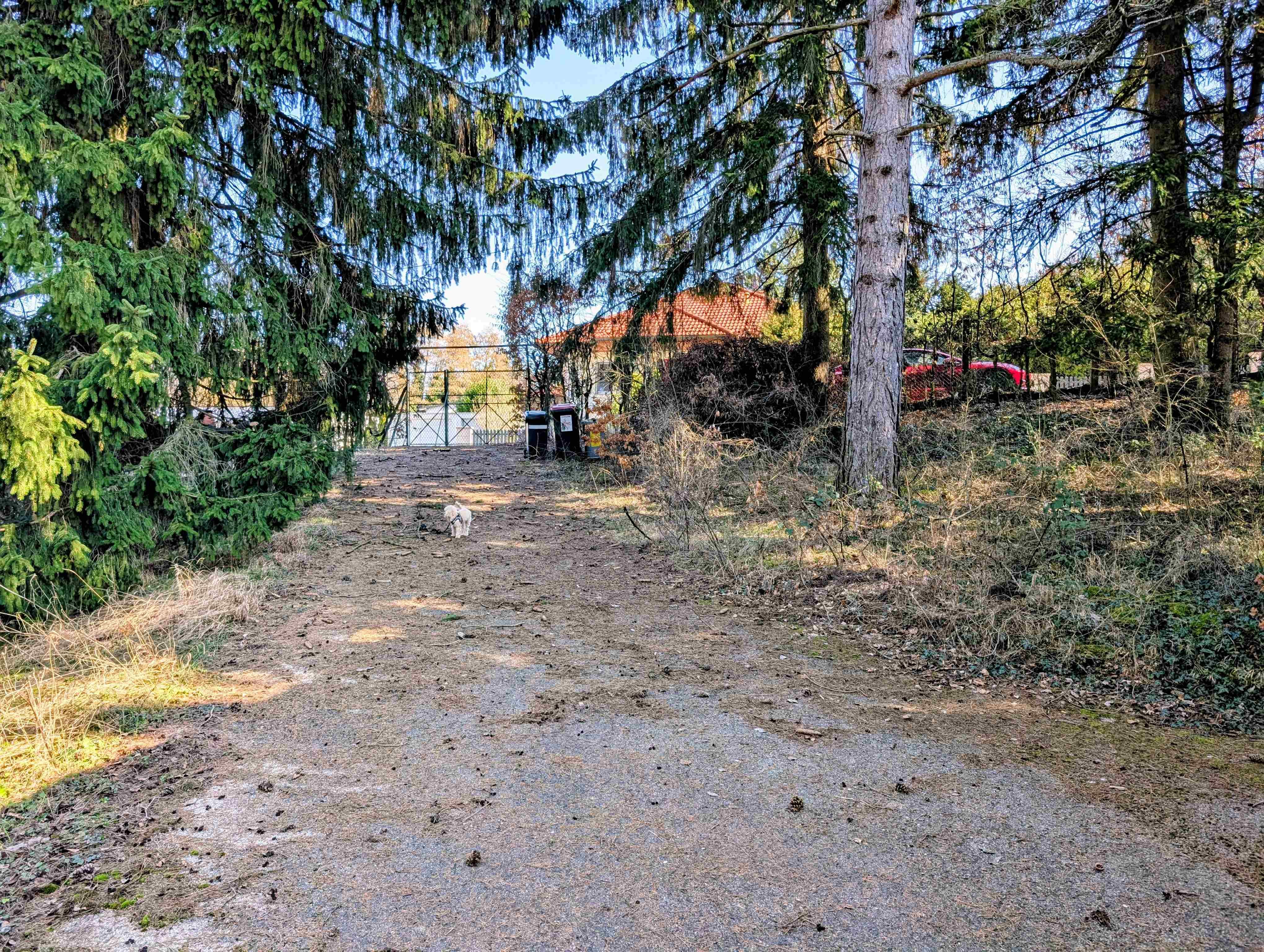 *PREISREDUKTION* Baugrund in Waldrandlage nur ca.15 km westlich von Wien - Ansicht 2