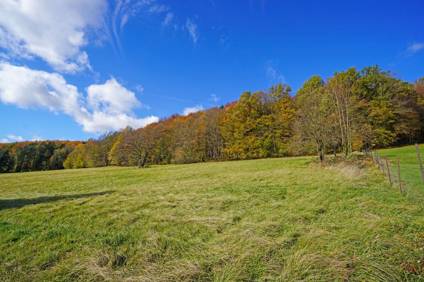 Großzügiges, naturnahes Grundstück in sonniger Ruhelage und mit herrlicher Aussicht - Ansicht 4