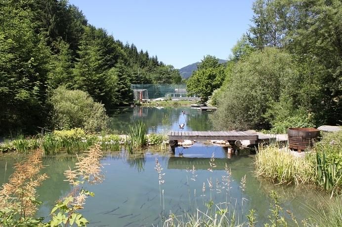 Idyllische Ruhelage im Grünen mit Bade/Fischteichen!