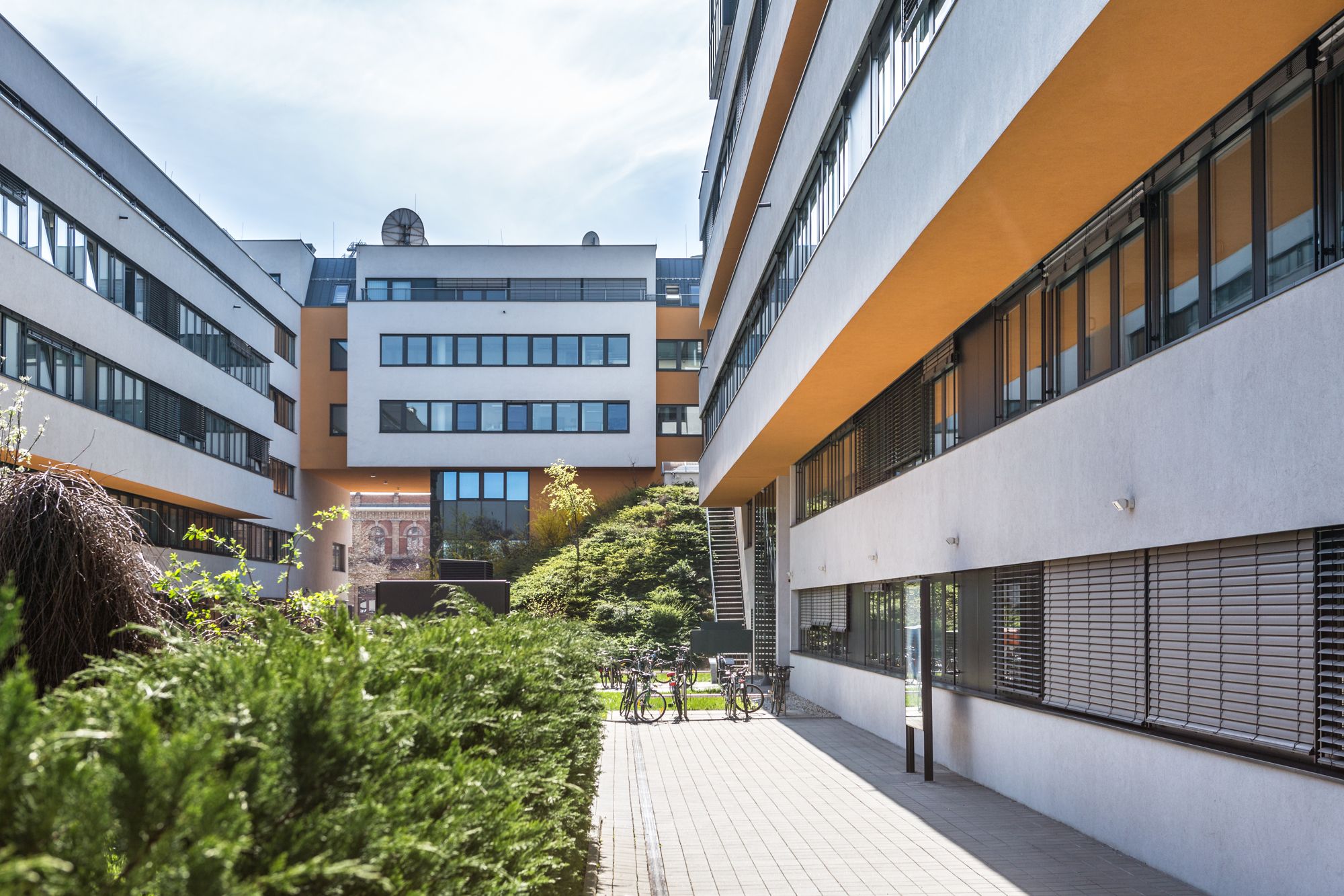 MQM | Moderne Büros Nahe Rinderhalle | innovativ & hochwertig - Ansicht 3