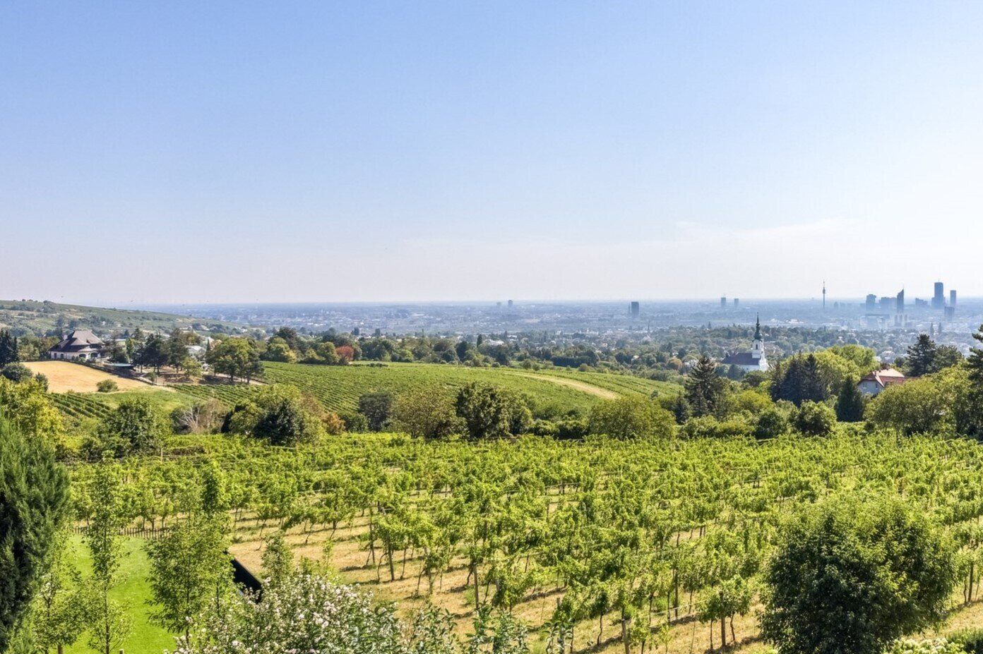 VILLA BELLE VUE - Spektakulärer Ausblick über Wien