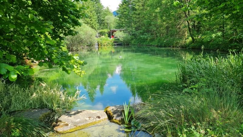 Wohnen im Naturparadies mit Fisch- /Badeteich!