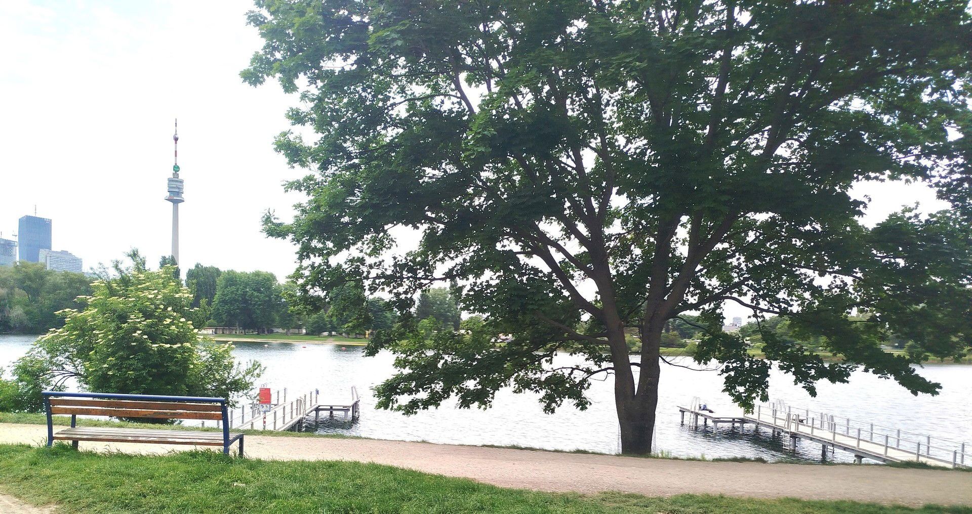 Toplage Alte Donau- Prächtige 2 Zimmer Wohnung mit niedriger Energieeffizienzklasse A