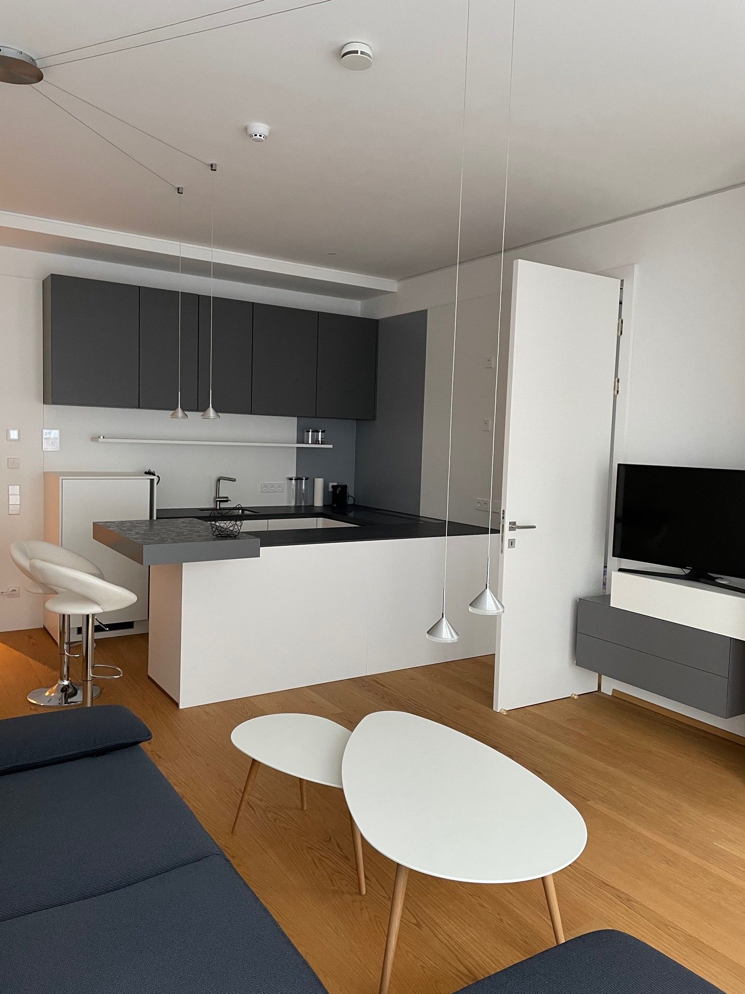 Provisionsfreie volleingerichtete Luxuswohnung, Neubau, Erstbezug