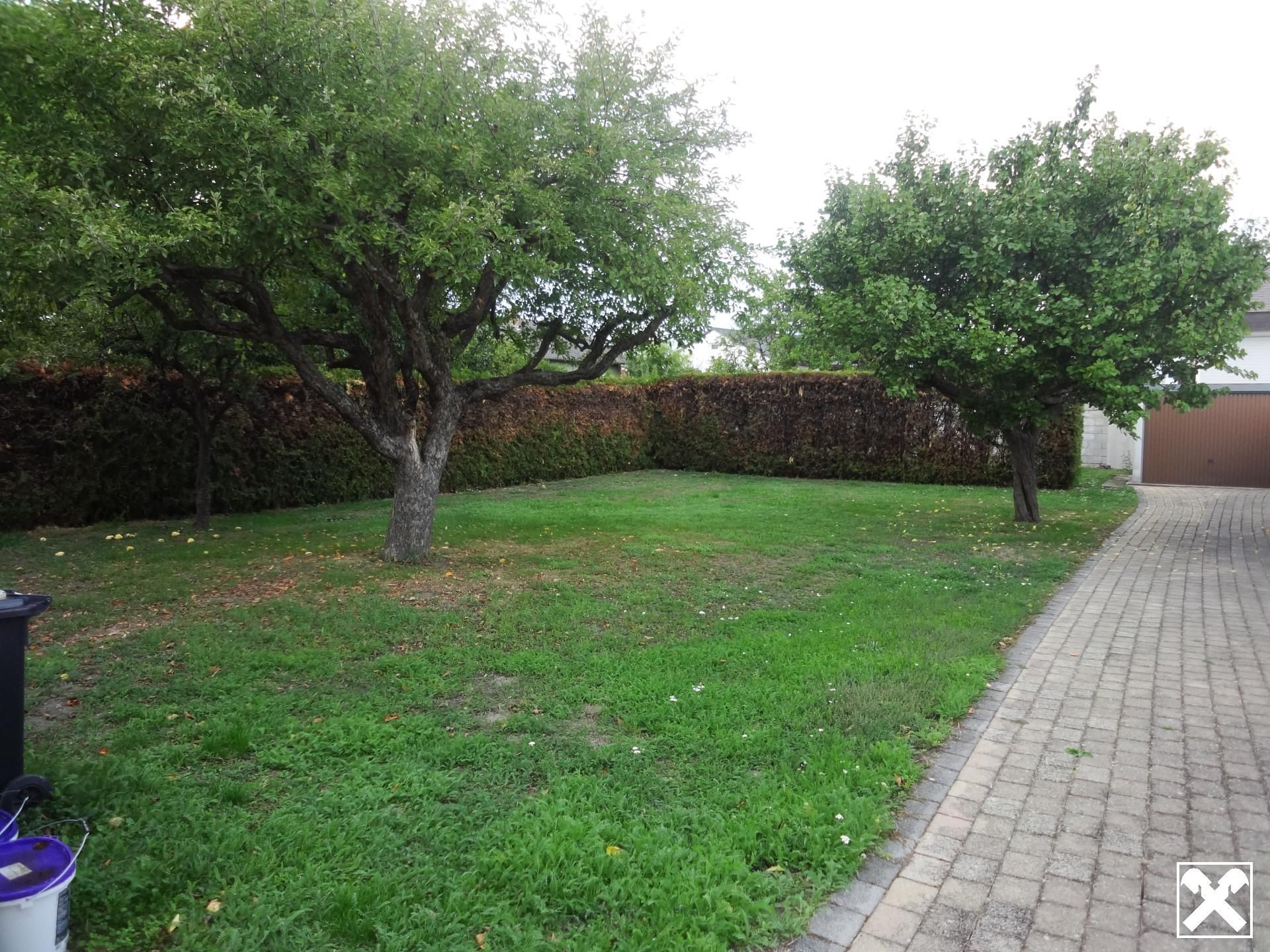 Haus – Purbach am Neusiedler See - Ansicht 3