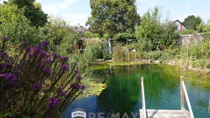 15 Schwimmteich