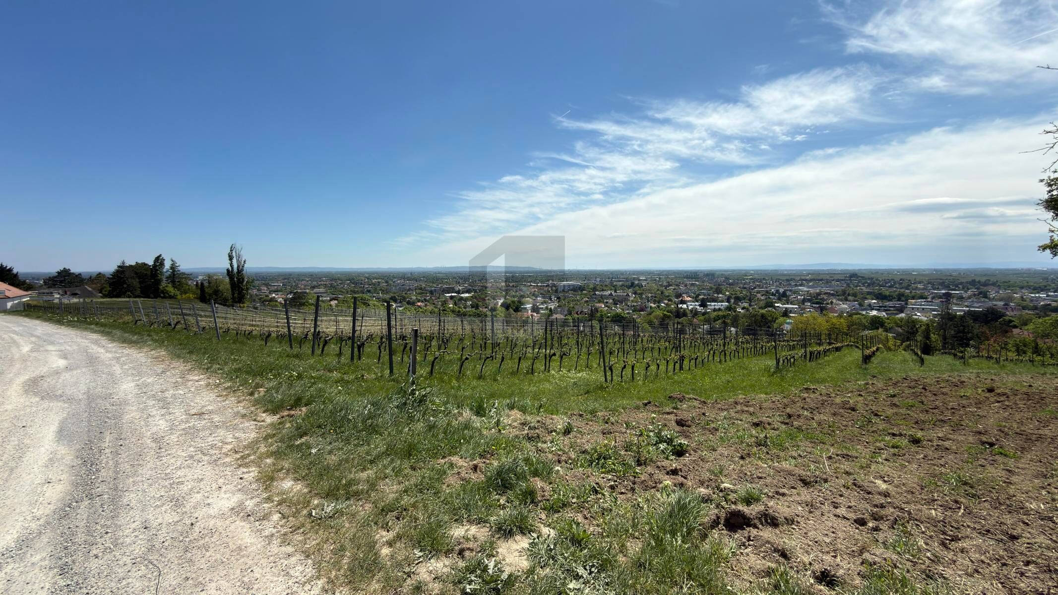 FÜR LANGFRISTIGE ANLEGER IN ORTSRAND-RUHELAGE MIT TOP PANORAMA - Ansicht 4