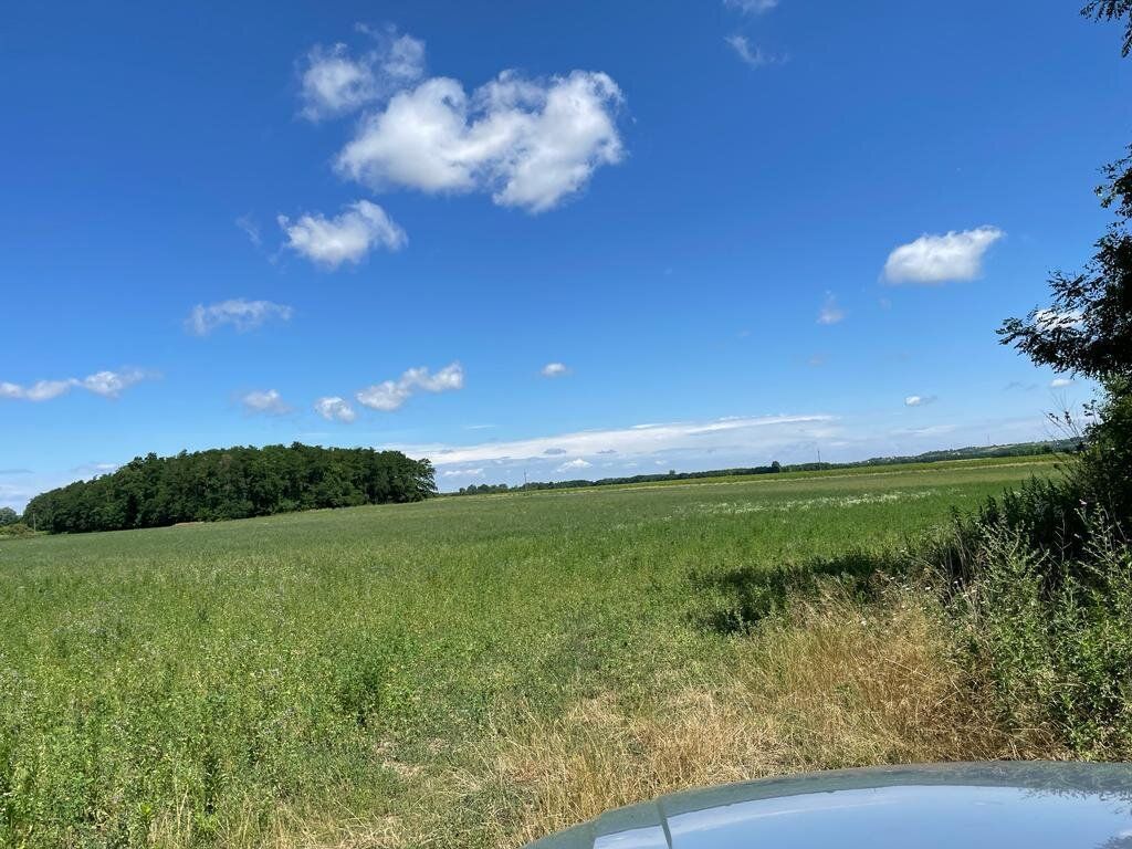 Für PV-Zwecke geeignete Grundstücke stehen im Raum Győr zum Verkauf - Ansicht 3